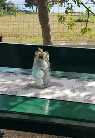 Family Rita Sveti Filip i Jakov